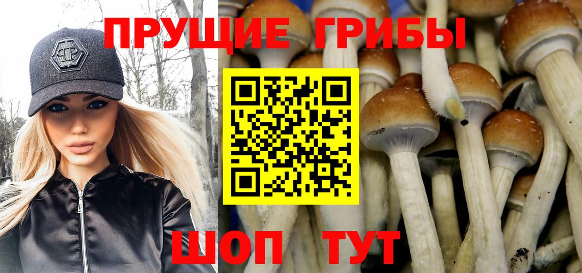 Псилоцибиновые грибы Psilocybe  Вход с VPN  Жигулёвск 